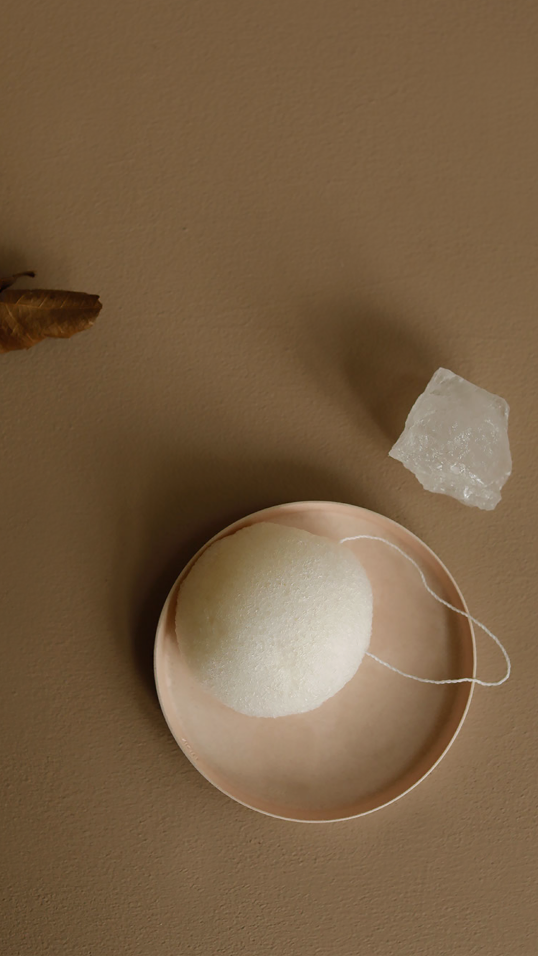 Exfoliating Konjac Sponge